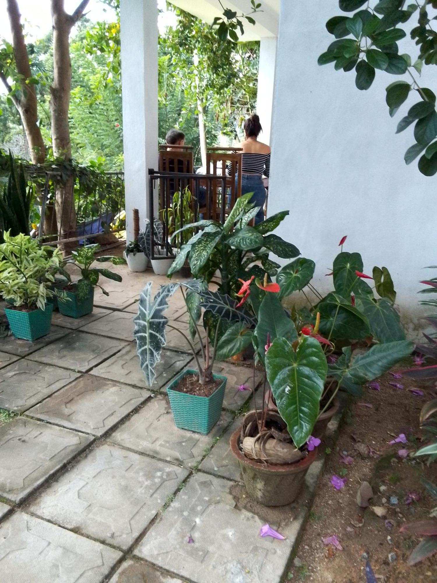 Charming View Homestay Ella Habitación foto